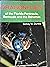 Dragonflies of the Florida Peninsula, Bermuda, and Bahamas by Sidney W. Dunkle