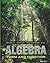 Algebra: Form and Function 1st edition by Lonzano, Guadalupe I., McCallum, William G., Hughes-Hallett, (2009) Paperback