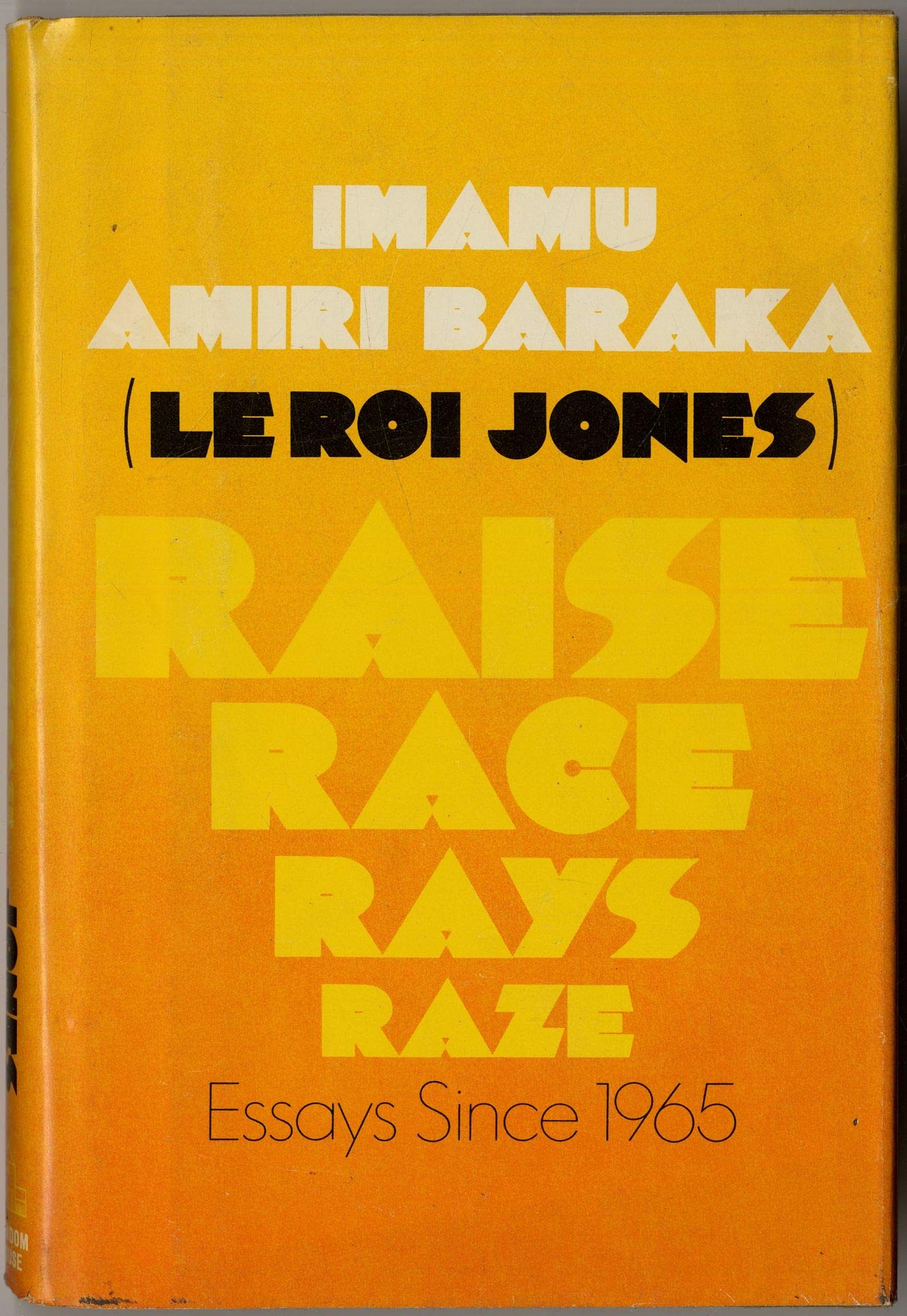 Raise Race Rays Raze: Essays Since 1965 (Hardcover)