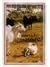 Domestic Animals