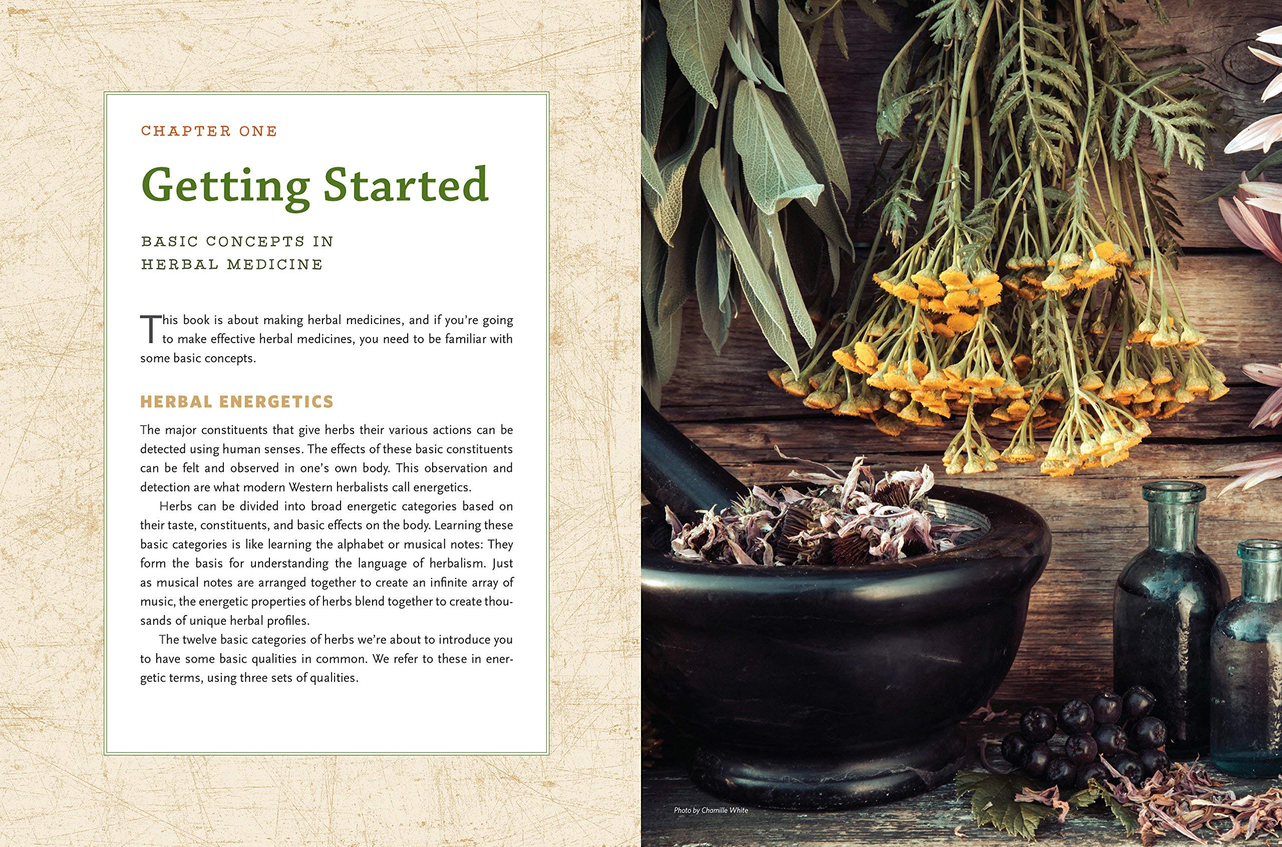 The Modern Herbal Dispensatory: A Medicine-Making Guide (Spiral-bound)