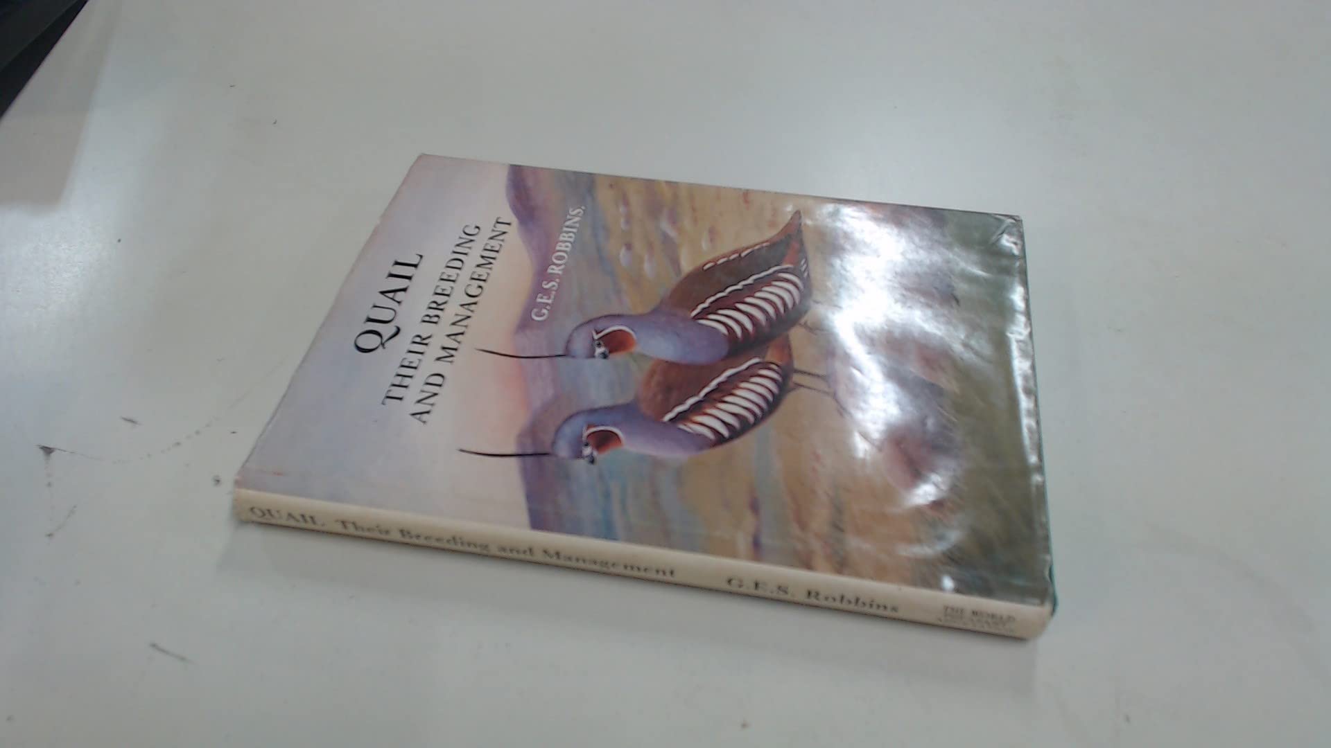 Quail: Their Breeding and Management (Hardcover)