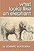 What Looks like an Elephant by Edward Nudelman (2011-06-27)