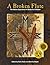 A Broken Flute: The Native Experience in Books for Children (Contemporary Native American Communities) (2006-12-21)