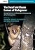 The Dwarf and Mouse Lemurs of Madagascar
