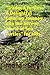 "Tranquil Turtles: A Deligh...