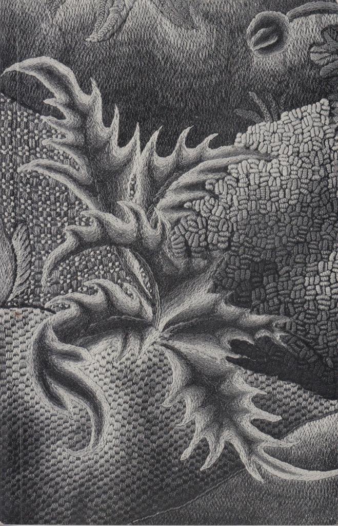 Embroideries From The Permanent Collection (Paperback)