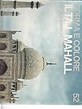 Il Taj Mahall Forma e Colore No. 52