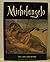 Michelangelo : His Life and...