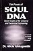 The Power of Soul DNA
