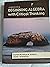 Understanding Beginning Alg...