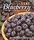 Very Blueberry by Jennifer Trainer Thompson (2005-05-01)