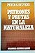 Patrones y pautas en la naturaleza by Peter S. Stevens