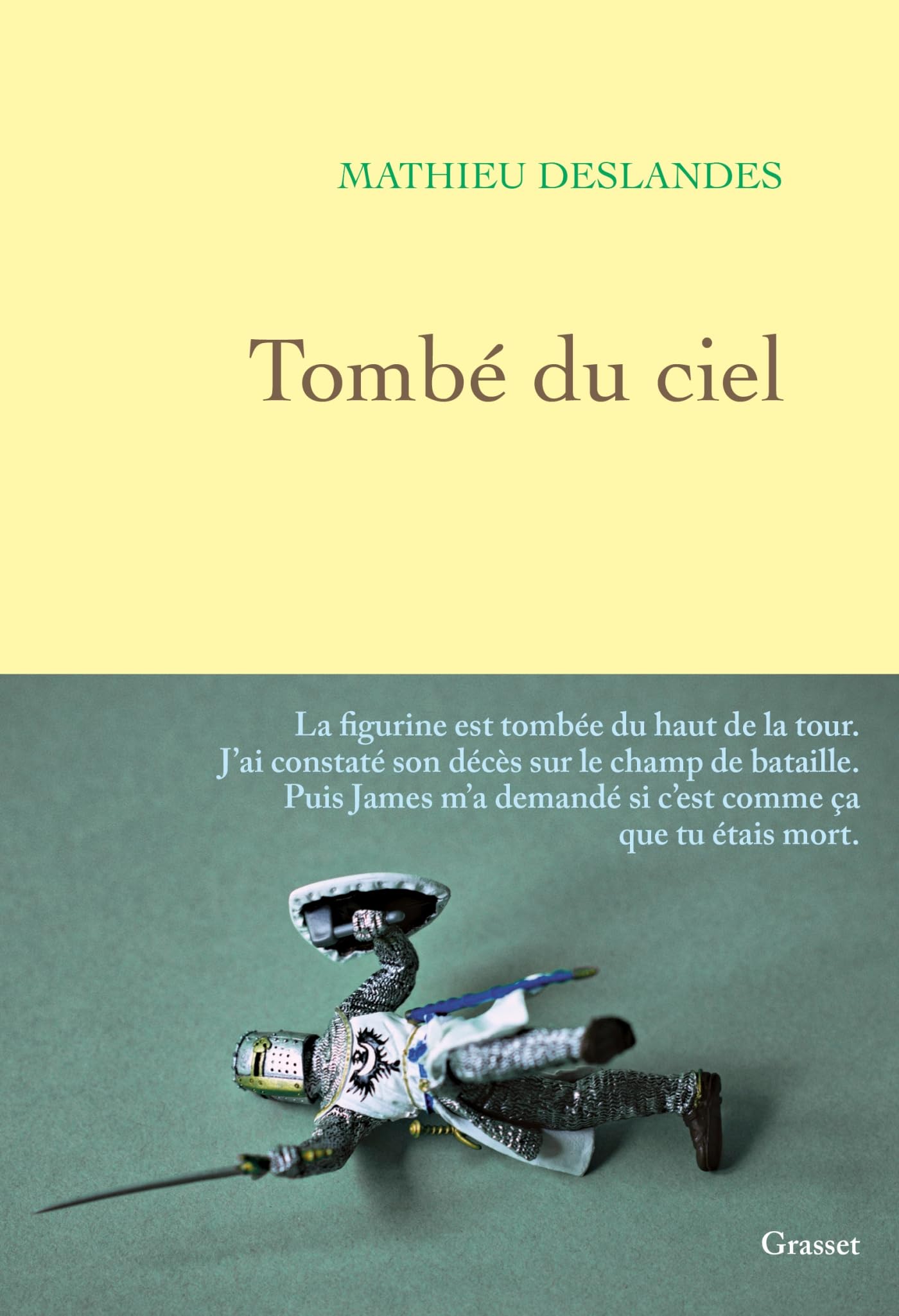 Tombé du ciel (Paperback)
