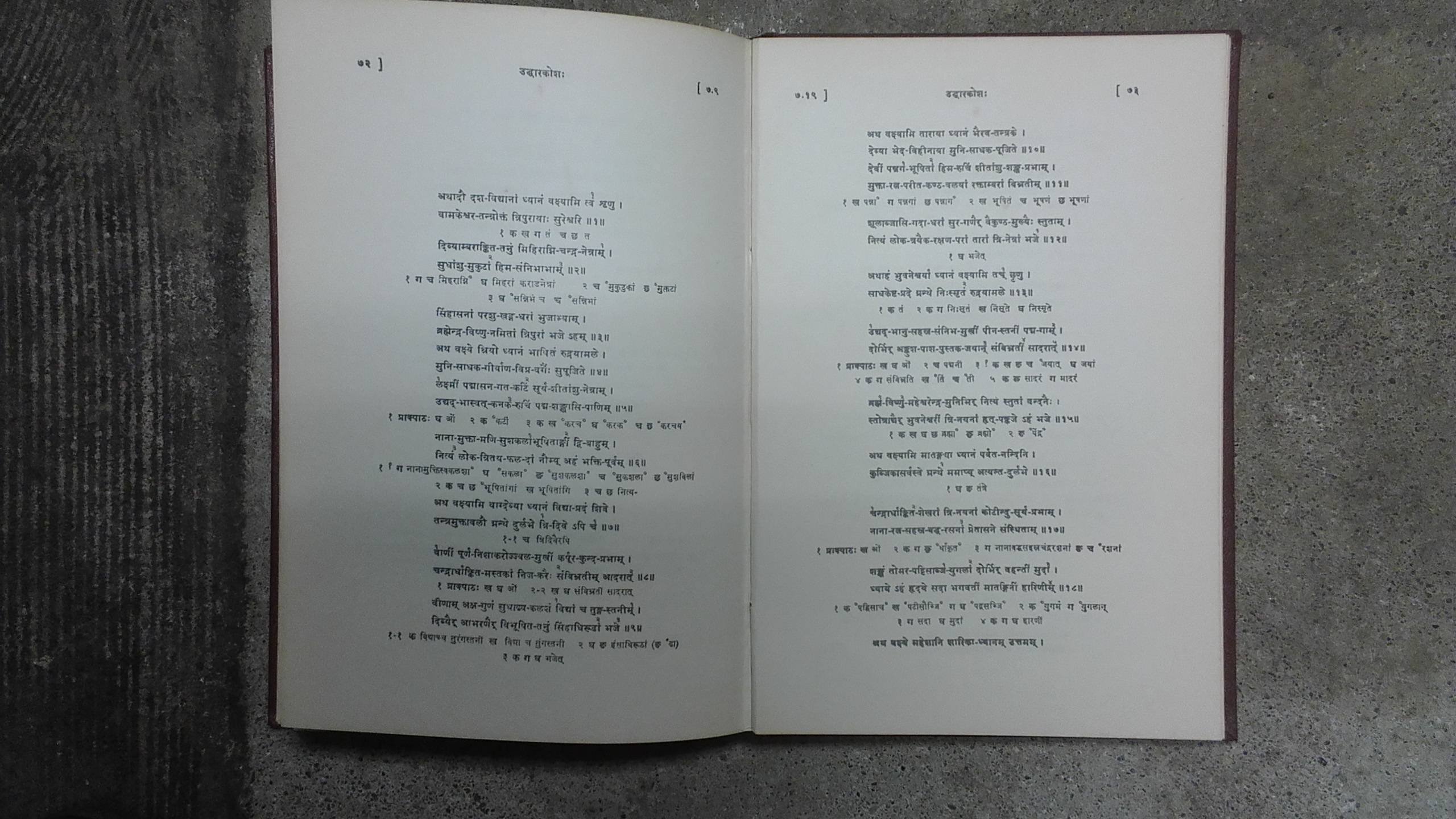 Uddhara-Kosa of Dakshinamurtis: A Dictionary of the Secret Tantric Syllabic Code (Hardcover)