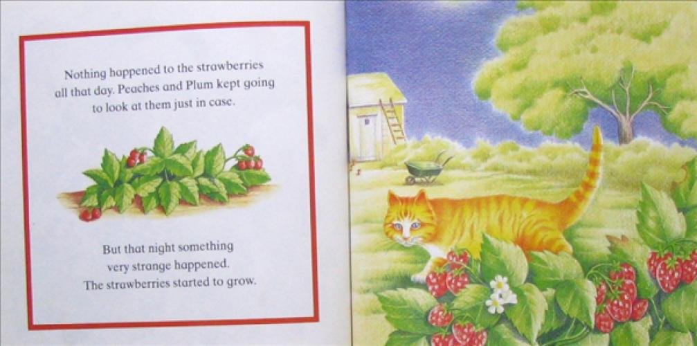 Grandma's Strawberry Surprise (Hardcover)
