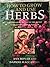 How To Grow & Use Herbs