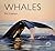 Whales (Worldlife Library) by Phil Clapham (2001-02-15)