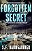 Forgotten Secret (Mirror Es...