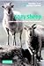 Soay Sheep: Dynamics and Selection in an Island Population (2004-04-12)