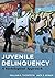 Juvenile Delinquency: A Sociological Approach by William E. Thompson (2016-07-20)