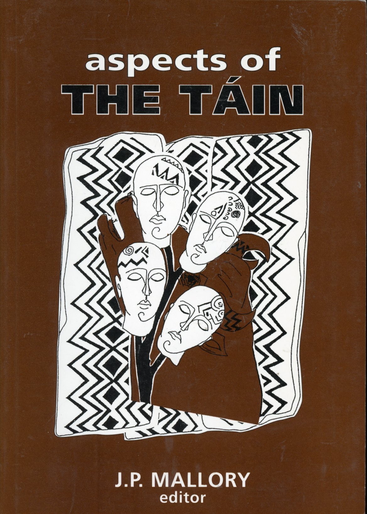 Aspects Of The Táin (Paperback)
