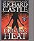 RICHARD CASTLE - SET OF 4 "HEAT" BOOKS - Frozen Heat/Raging H... by Rick Castle