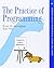 The Practice of Programming (Professional Computing) by Kernighan, Brian W., Pike, Rob 1st (first) Edition (1999)
