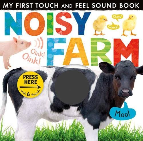 Noisy Farm (My First Touch & Feel Sound Bk) by Little Tiger Press (2013-09-02)