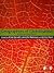 Geographies of Globalisatio...