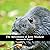 The Adventures of Jerry Muskrat (dramatic reading)
