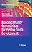 Building Healthy Communities for Positive Youth Development (The Search Institute Series on Developmentally Attentive Community and Society) by Michael J. Nakkula (2010-06-03)