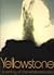 Yellowstone by Ann  Sutton