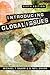 Introducing Global Issues, 6th ed. (2016-07-28)