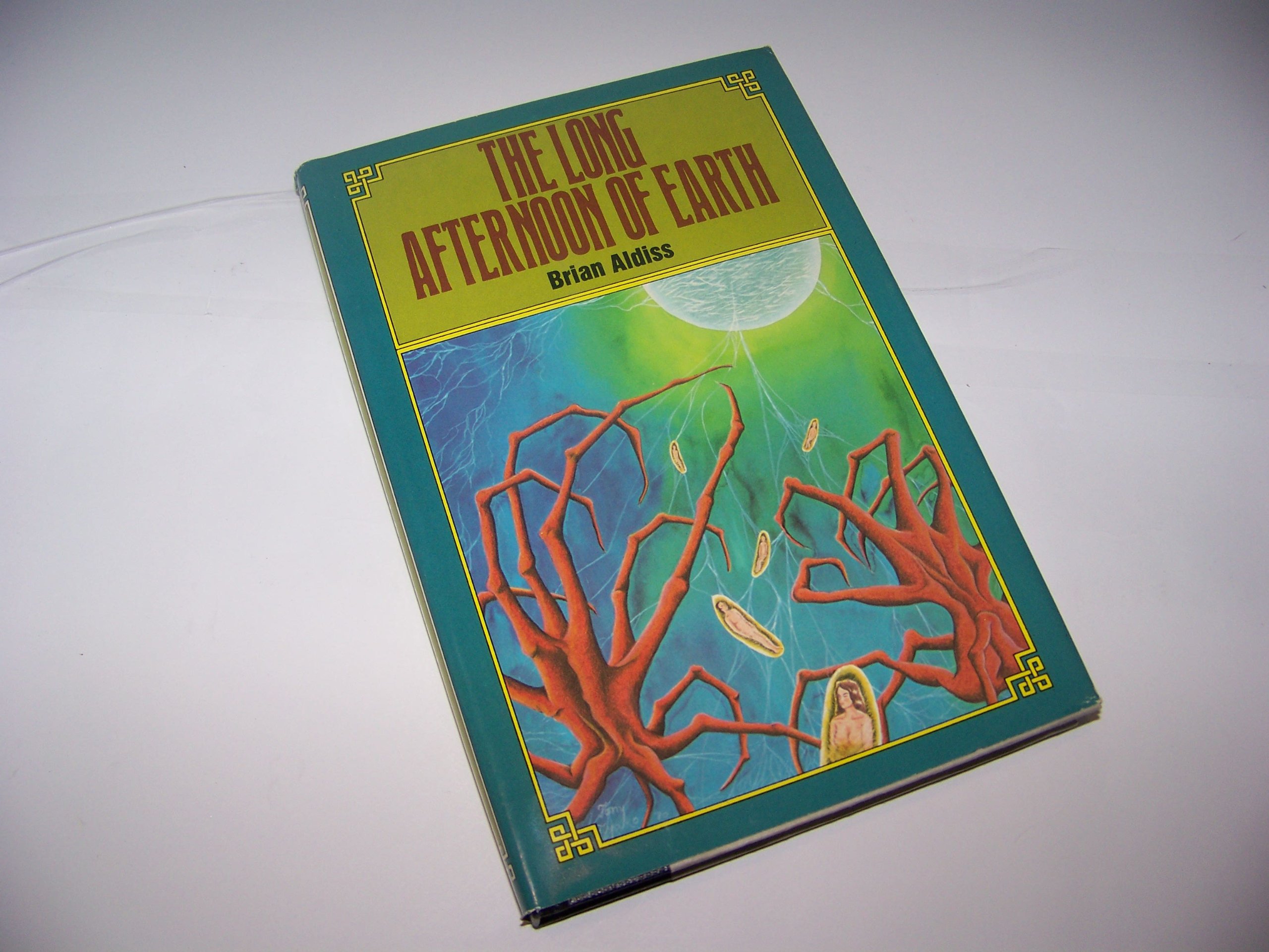 The long afternoon of Earth