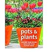Pots & Plants: Year-Round Colour in Your Garden