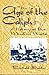 By Bertold Spuler The Age of the Caliphs: History of the Muslim World (World History) Paperback - February 1995