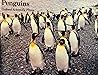 Penguins (Nature's Way)