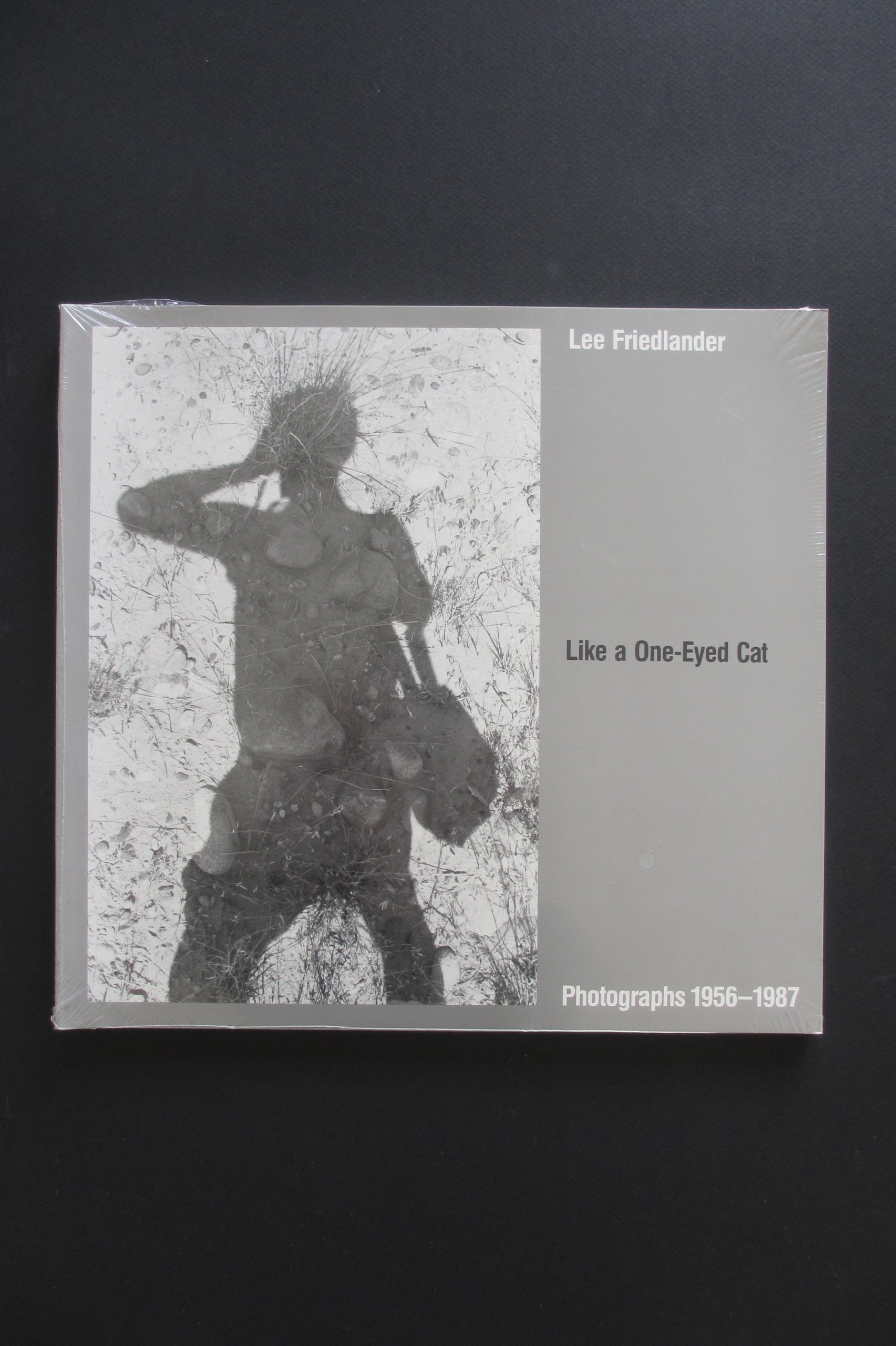 Like A One-Eyed Cat Photographs 1956 - 1987 (Hardcover)
