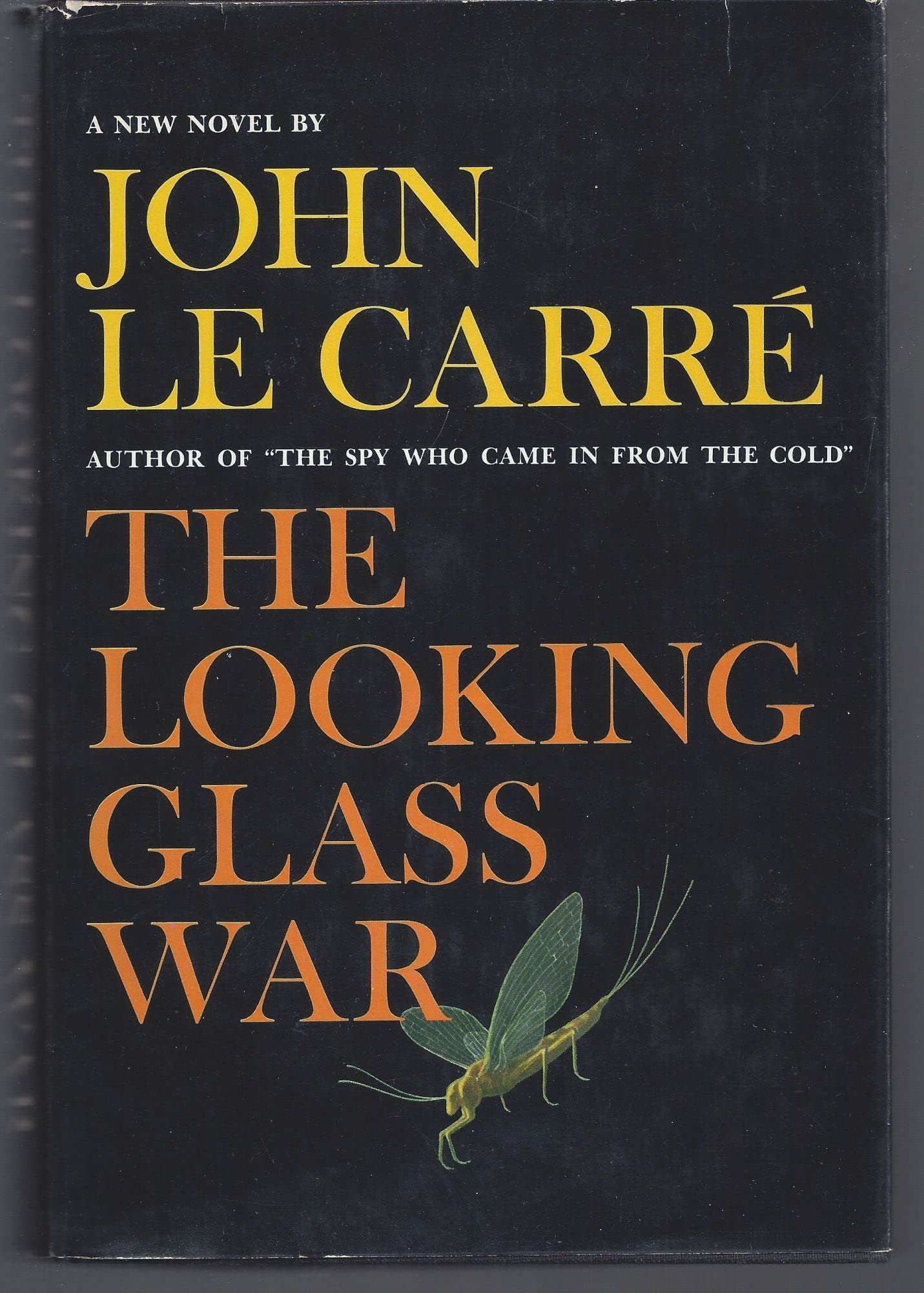 The looking glass war