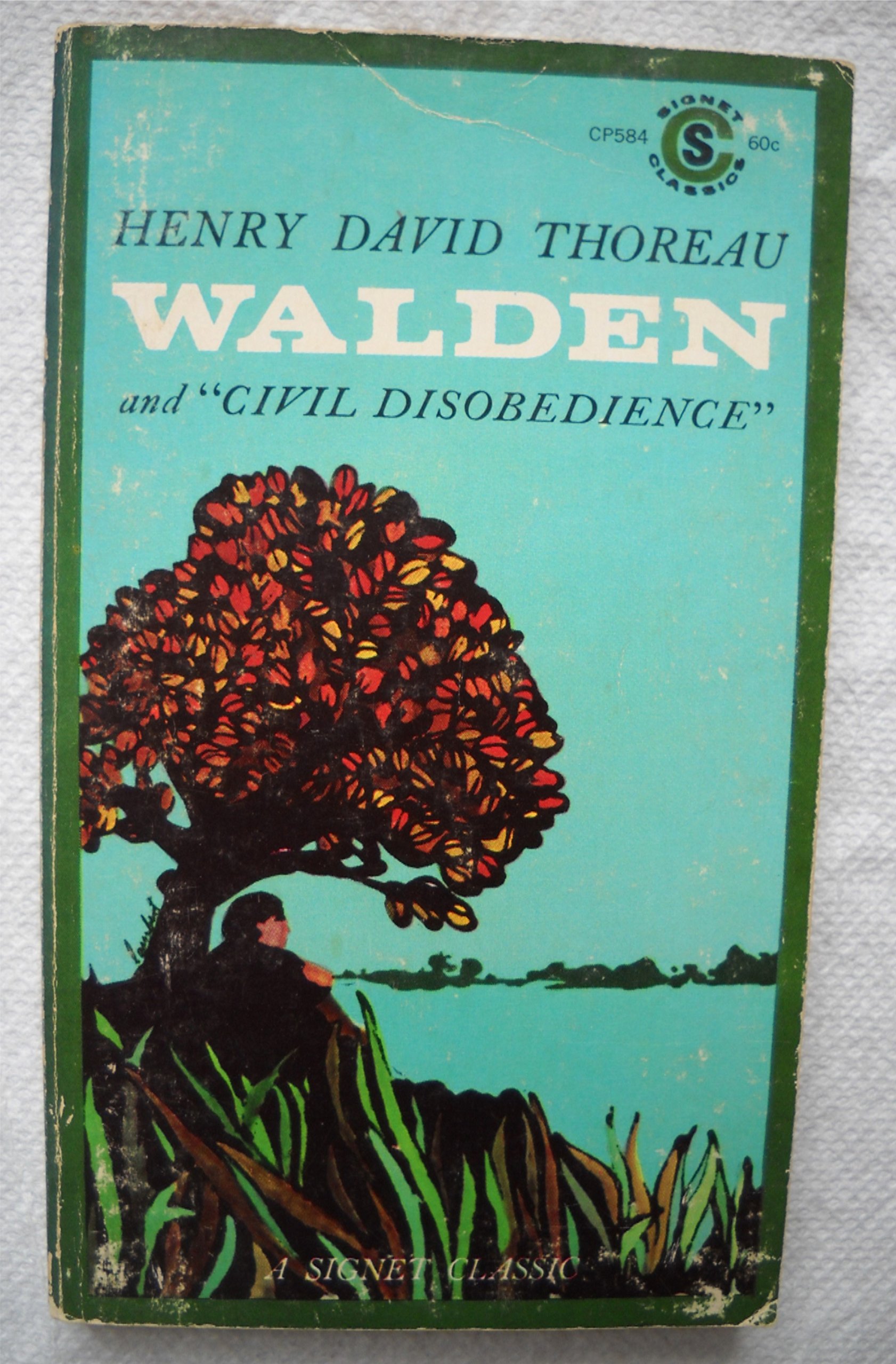 Walden Civil Disobedience