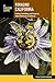 By Christopher Nyerges Foraging California: Finding, Identifying, And Preparing Edible Wild Foods In California (Foraging S (First Edition)