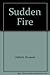 Sudden Fire by Oldfield Elizabeth (1994-07-01) Hardcover