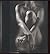 Ruth Bernhard: The Collecti...