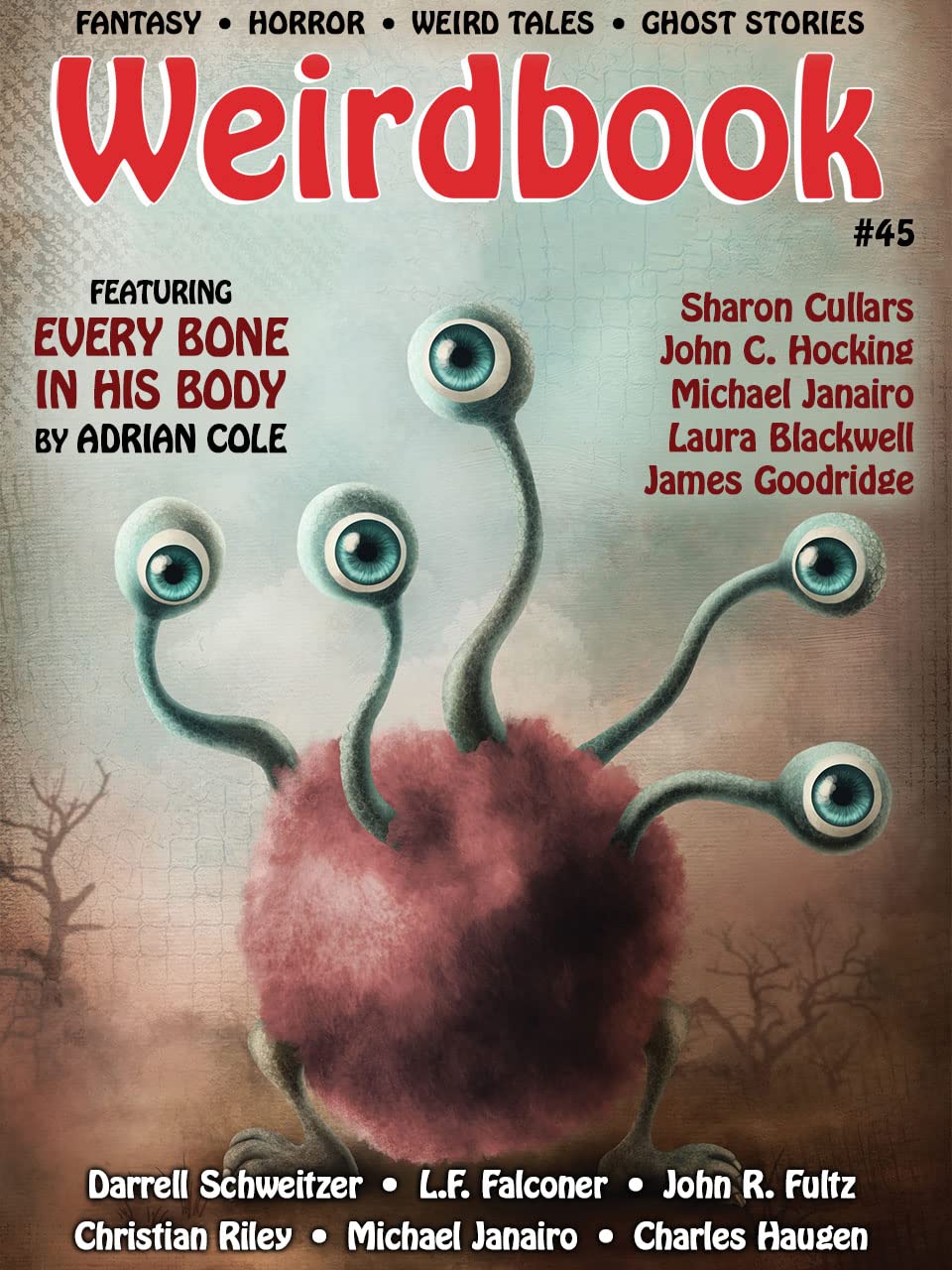 Weirdbook #45 (Kindle Edition)