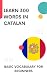 Learn 300 Words in Catalan by lingoXpress