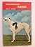 Borzoi (How to Raise & Train)