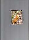 Fox: Mini Board Book