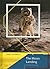 The Moon Landing: The Race Into Space (Point of Impact) by Nigel Kelly (2007-01-15)