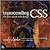 Transcending CSS 1st (first) edition Text Only